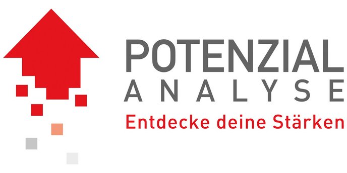 Logo der Potenzialanalyse